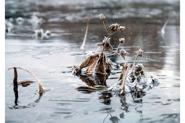 Miksi jää ääntelee? Selvitimme luonnonilmiön syitä – katso videot