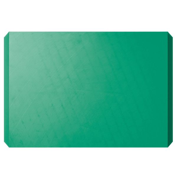 Veark chopping board, L, green