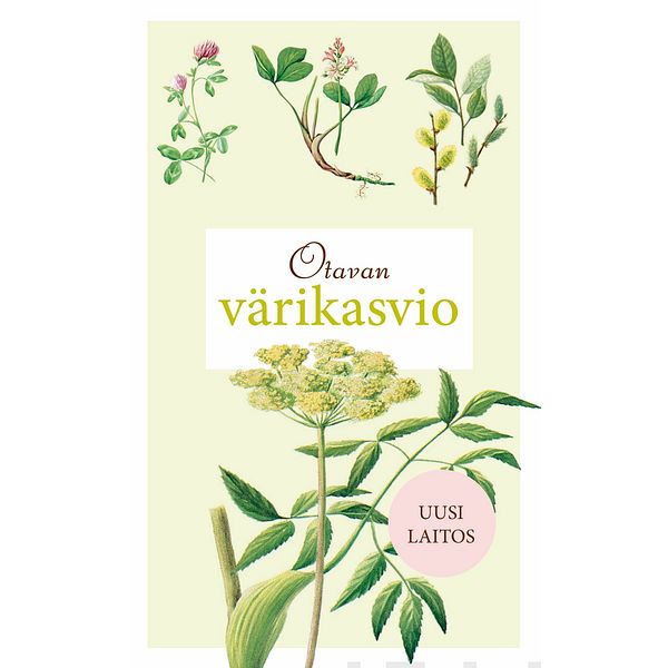 Otavan värikasvio
