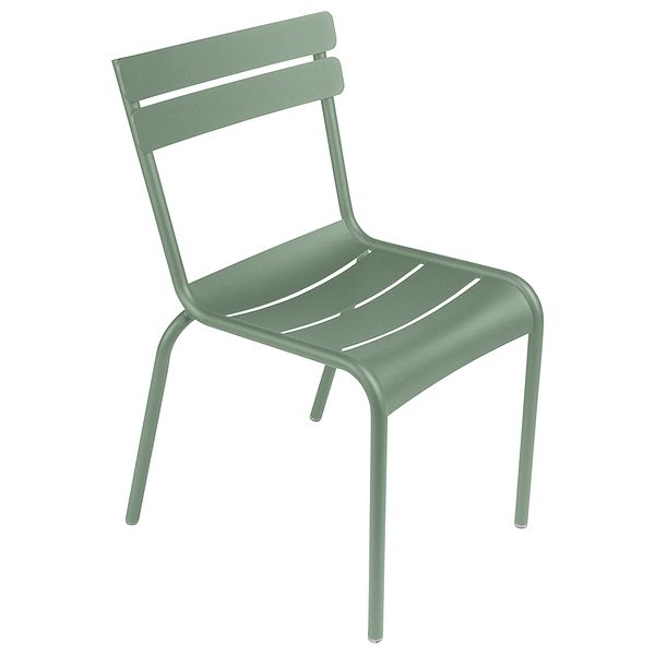 Luxembourg chair, cactus