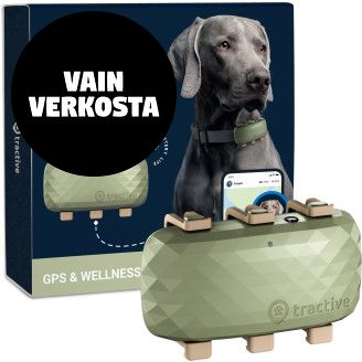 Koiran aktiivisuuskaulapanta 4G GPS XL