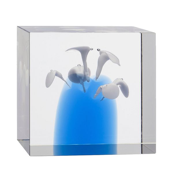 Annual Cube 2024