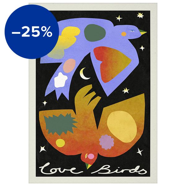 Love Birds poster
