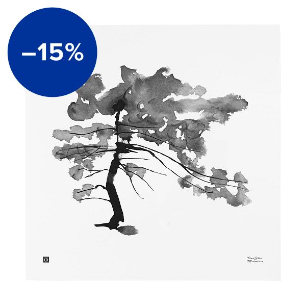 Pine Tree poster, 50 x 50 cm