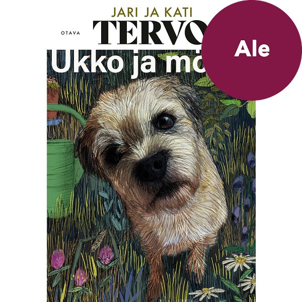 Ukko ja mökki