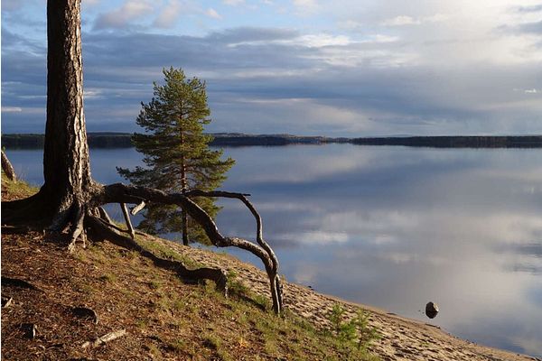 Luonnon päivää juhlitaan tänä vuonna Hiukan harjulla – ilmaiskonsertin esiintyjinä Tuure Kilpeläinen ja Reino Nordin